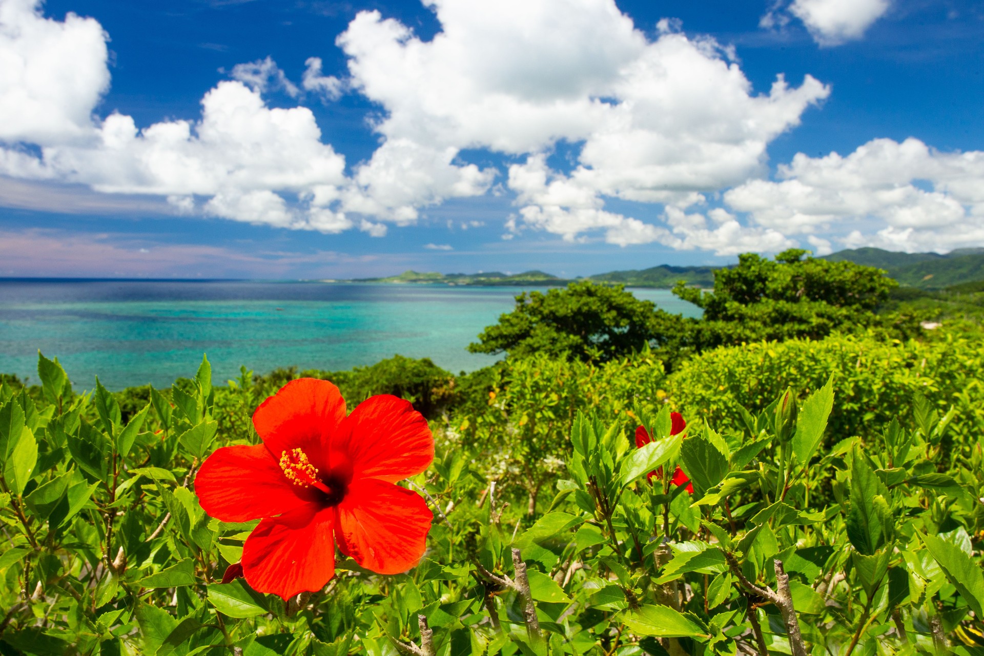 okinawa retreat